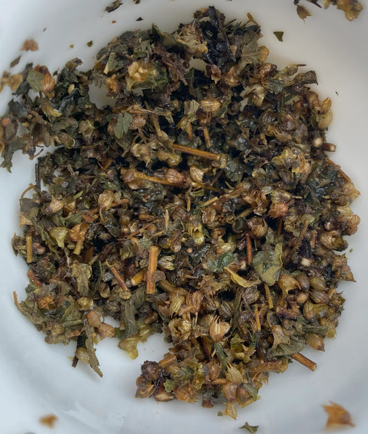 "Nepali Tulsi" Organic