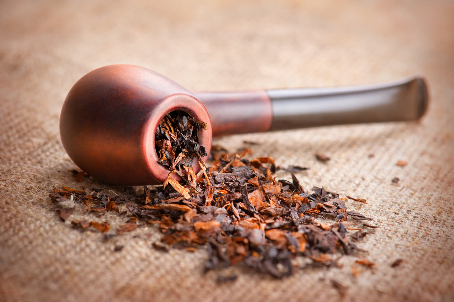 "Grandpa's Pipe" Gao Wen Dian Hong