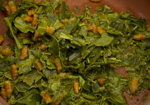 "Harlequin" Organic Matcha Genmaicha