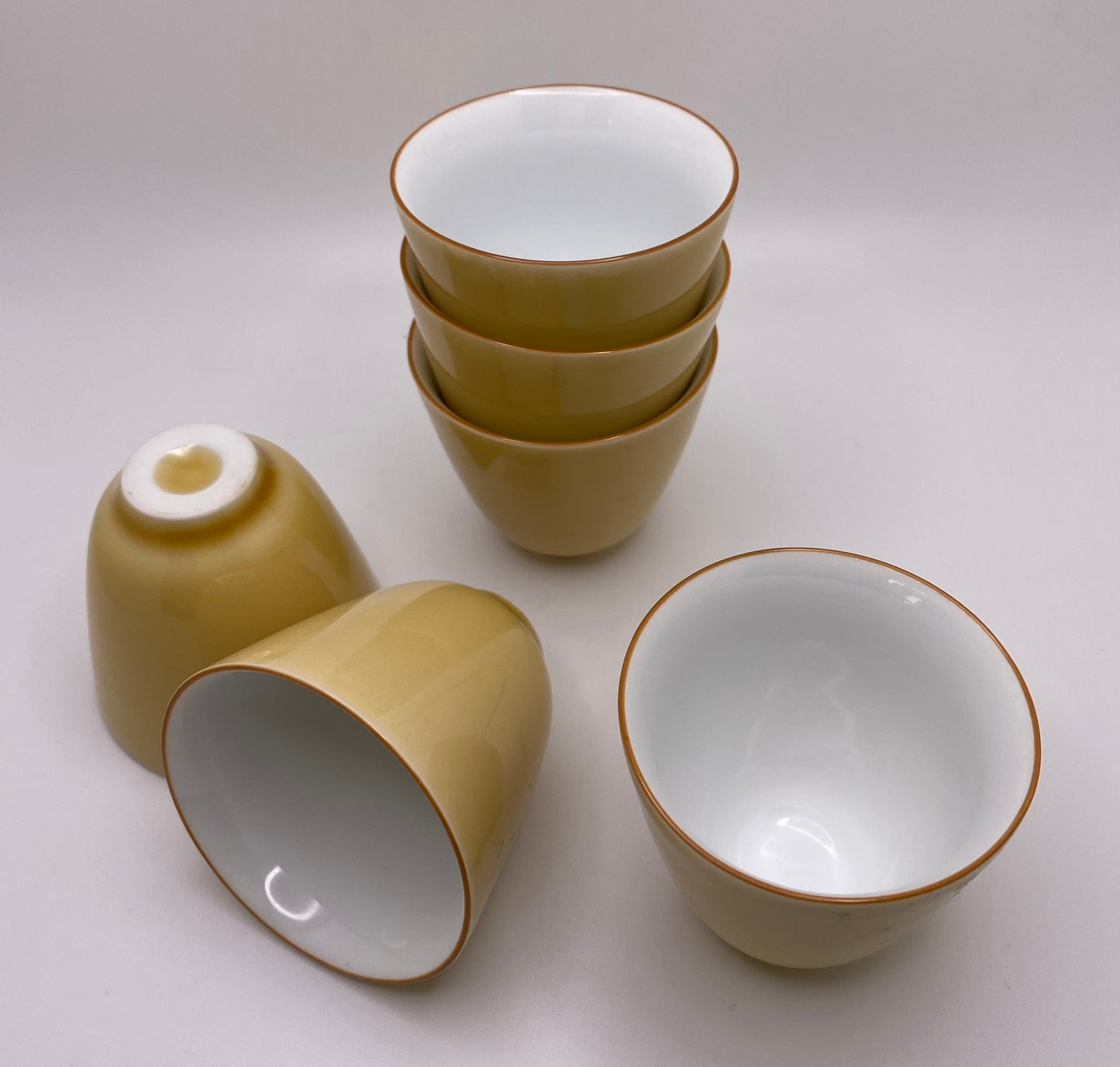 Porcelain Gaiwan Gong Fu Tea Set (10 pc)