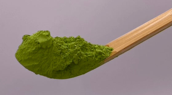 "Spring Bud" Uji Matcha Supreme