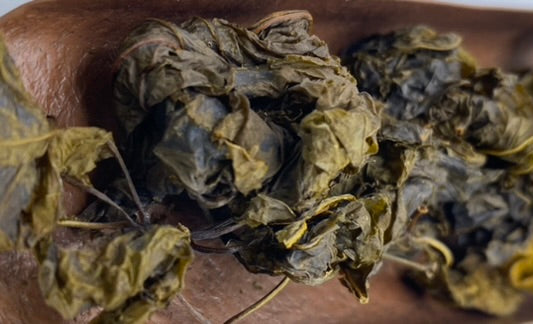 American Ginseng - Black Leaf