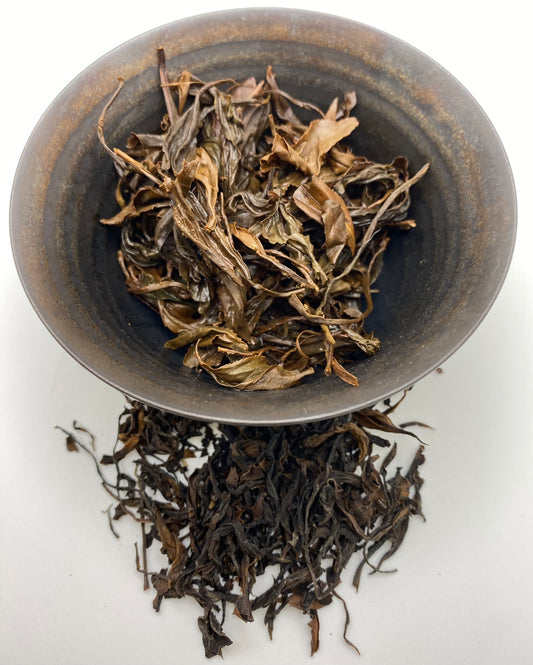 "Ruby Empress" Bug-Bitten Red