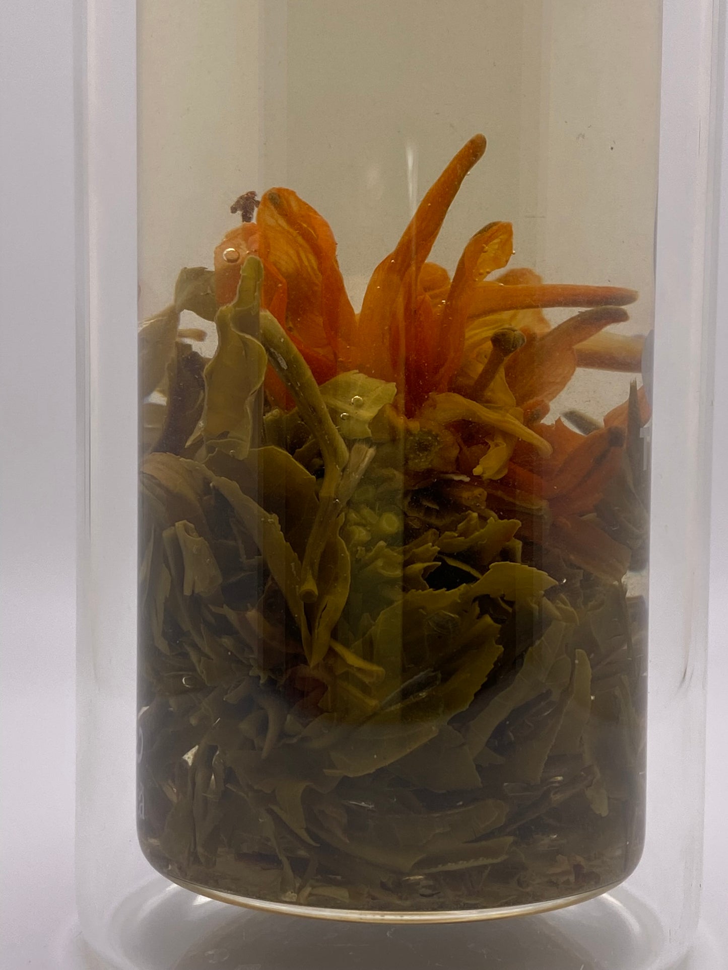 "White Apricots" Blooming Tea