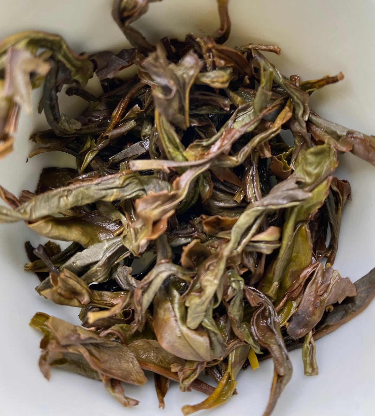 "Prolific Orchid" Mi Lan Honey Orchid Oolong