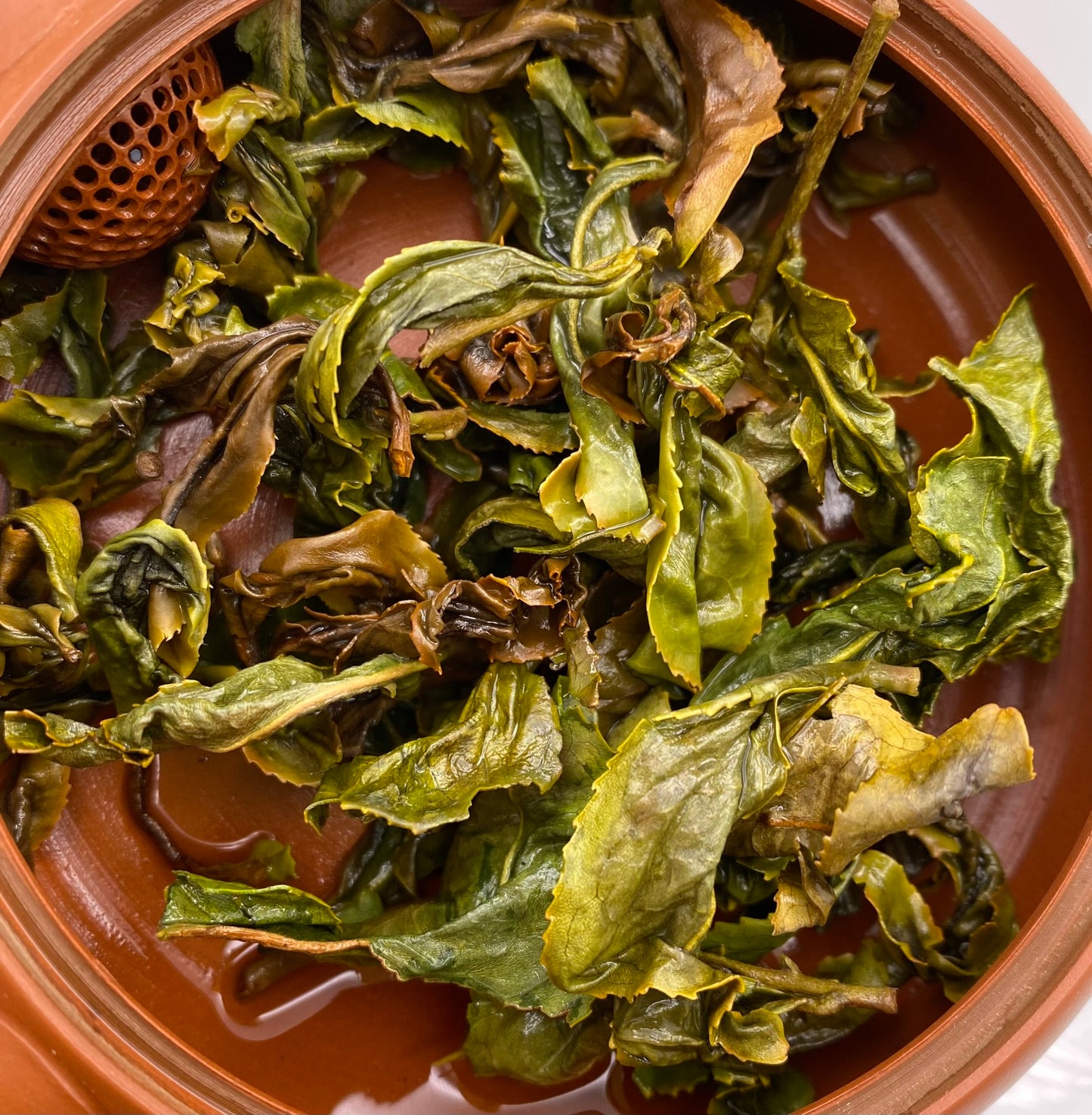 "Bruce Banner" GABA Green Tea