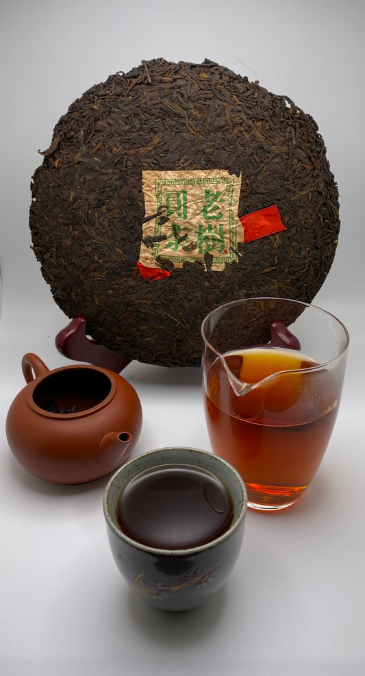 "Yiwu's Virgin Tree" 1999 Original Ecology CNNP Shou Pu'er