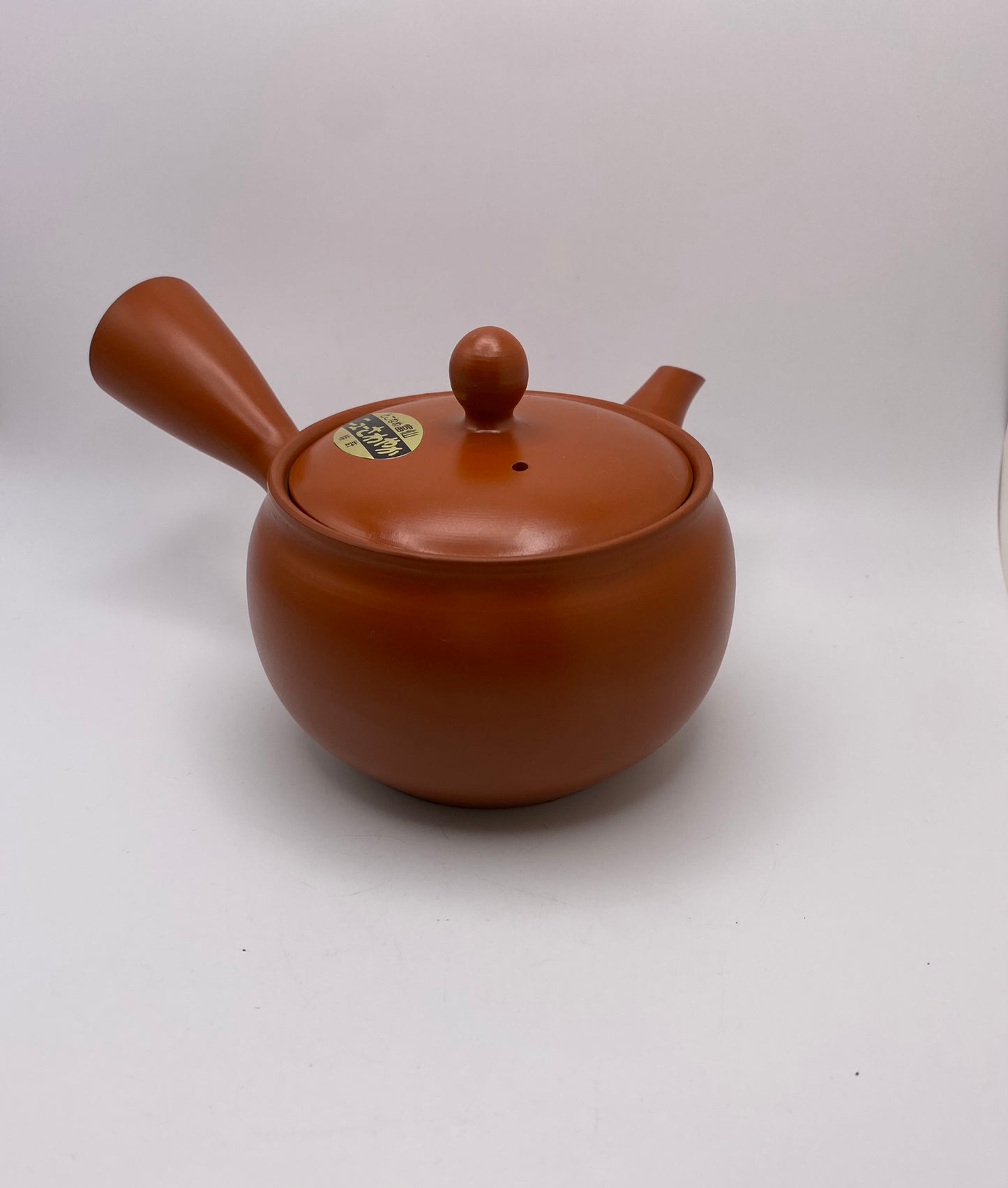 Tokoname-Yaki Shudei Red Clay Kyusu (Fusen Kiln, Japan)