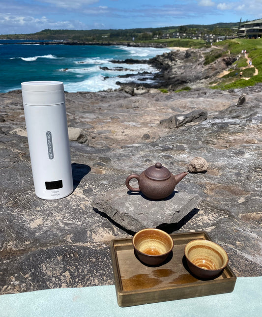 Electric Portable Kettle 